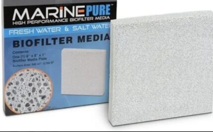 marine pure plato 8*8*1 500l