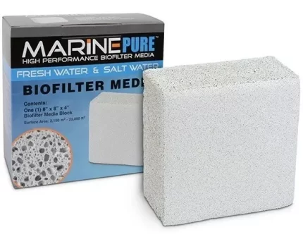 marine pure bloque 8*8*4 1000l