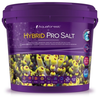 hybridsalt_acuariomarino_nisoreef